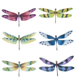 Dragonfly Magnets