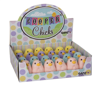 Cooper Chicks