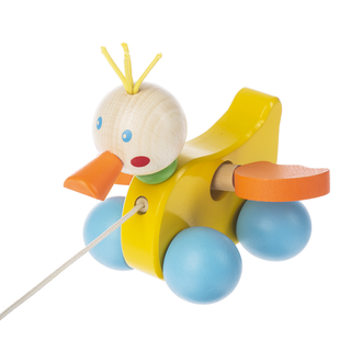 Duck Push Toy