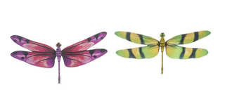 Dragonfly Magnets