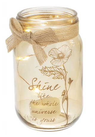 Mason Jar with Light Up Decor