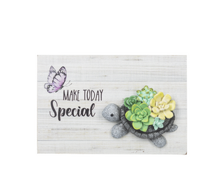 Pebble Turtle - Turtle Box Plaque